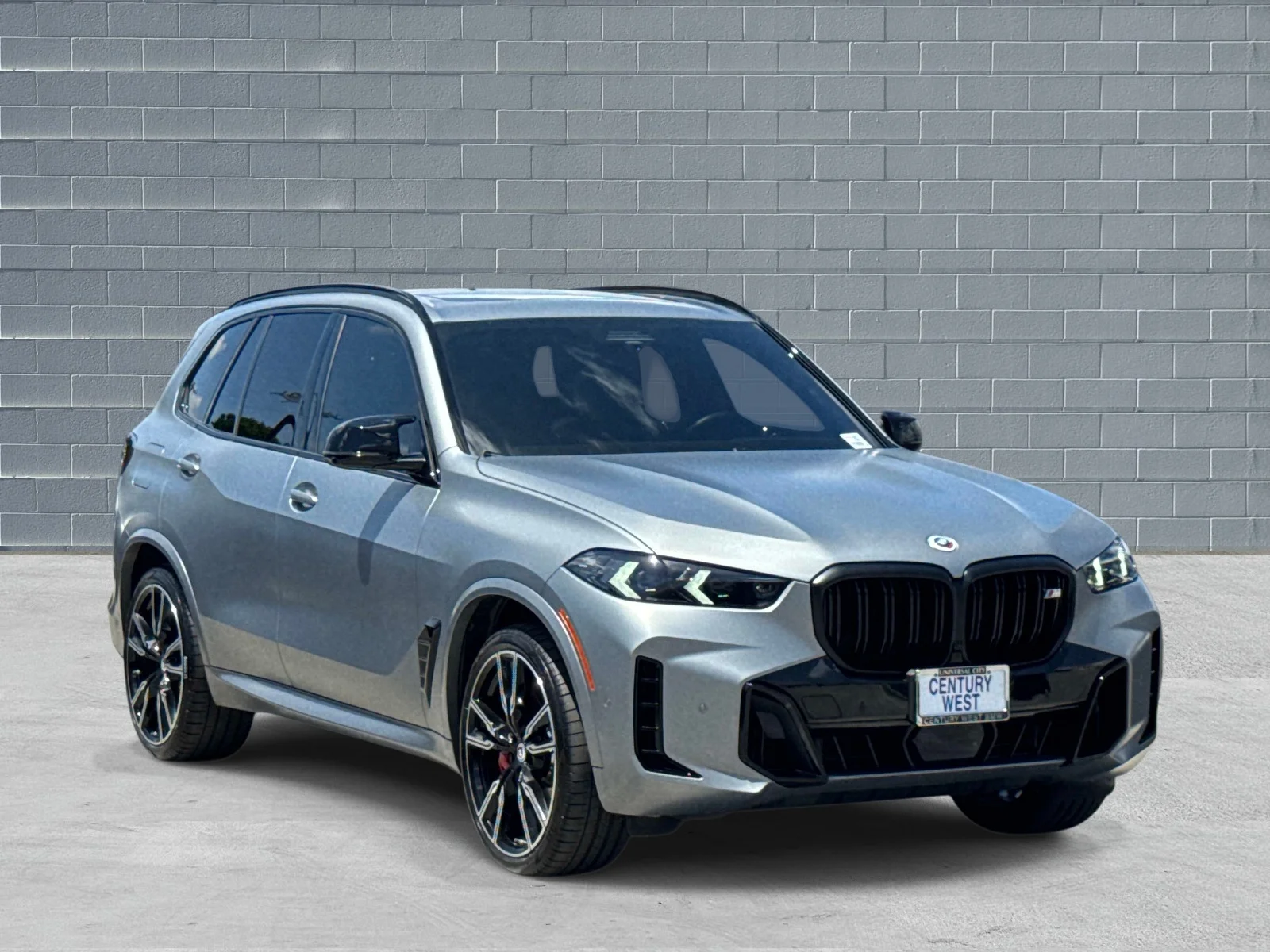 2025 BMW X5 M60i's photo