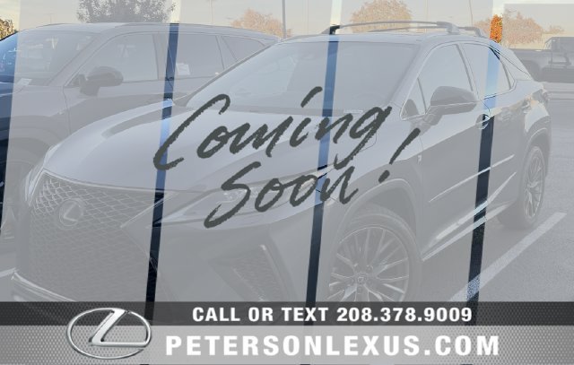2020 Lexus RX 350 F Sport