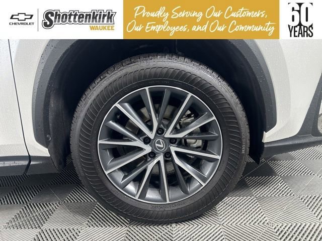 Used 2025 White Lexus NX 250 Premium image 9