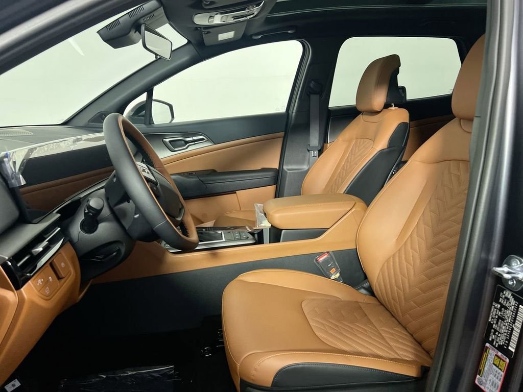 New 2026 Panthera Metal Matte Kia X-Line image 14