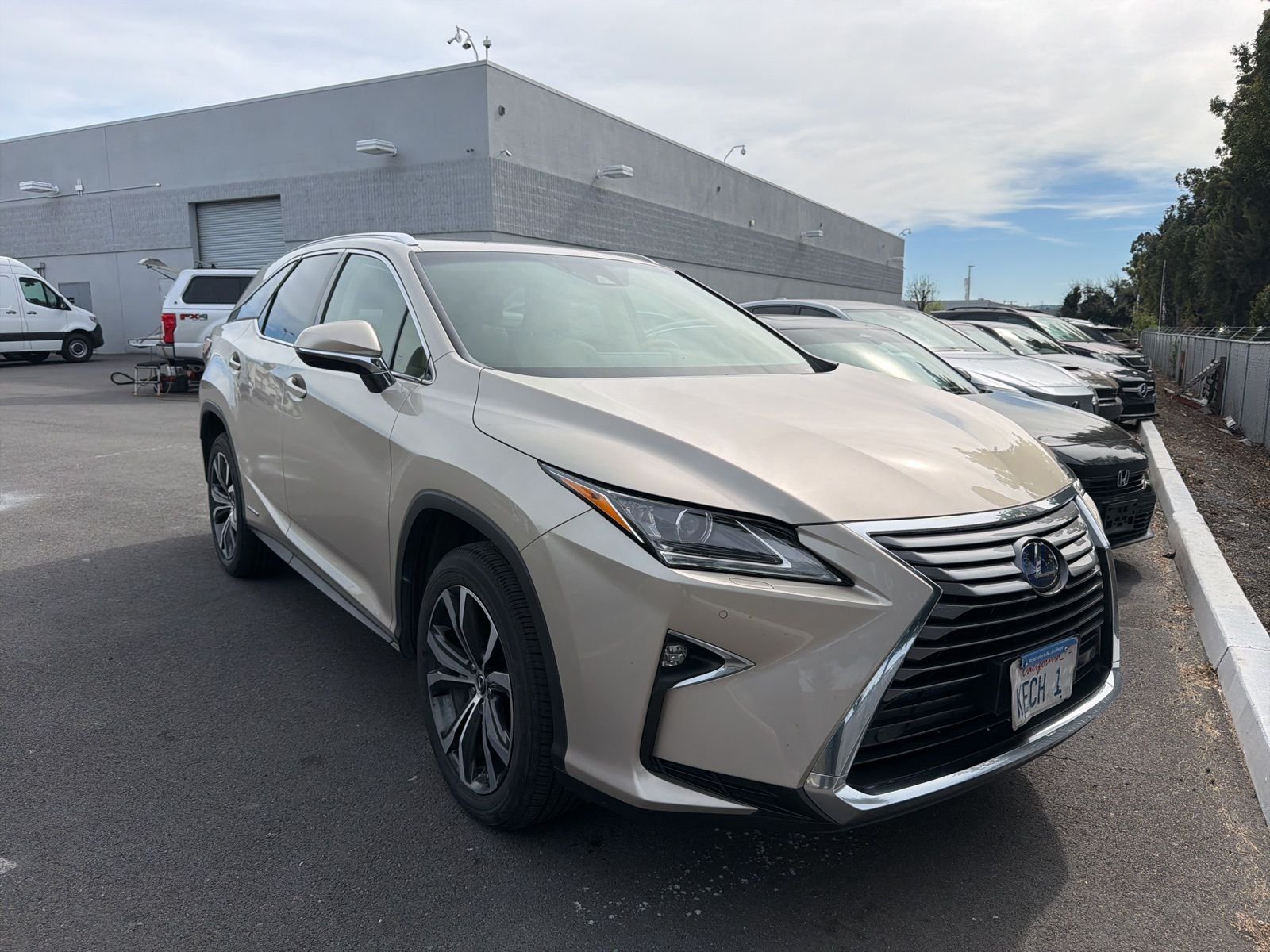 2019 Lexus RX Hybrid 450hL