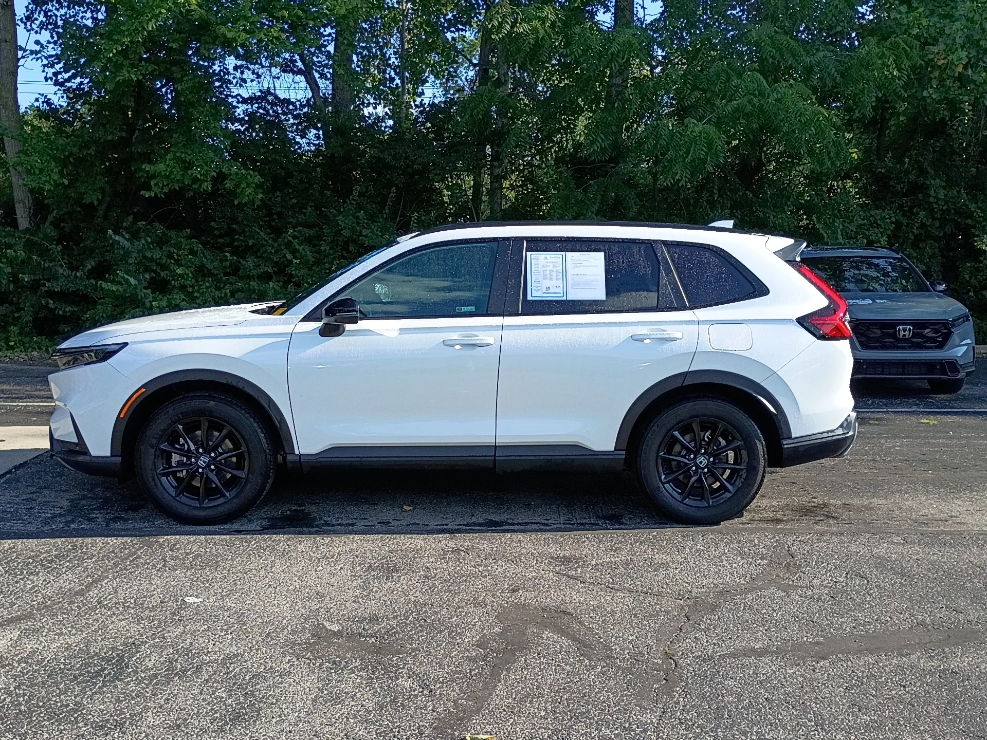 Certified Used 2026 Platinum White Pearl Honda Sport-L image 6