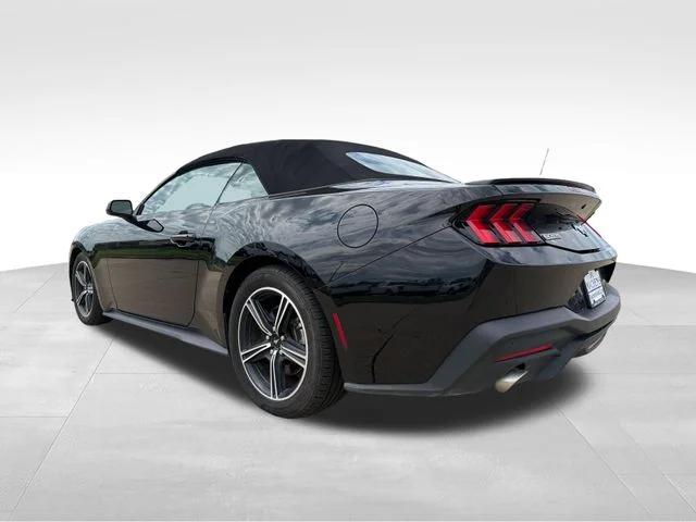 Used 2024 Black Ford EcoBoost Premium image 5