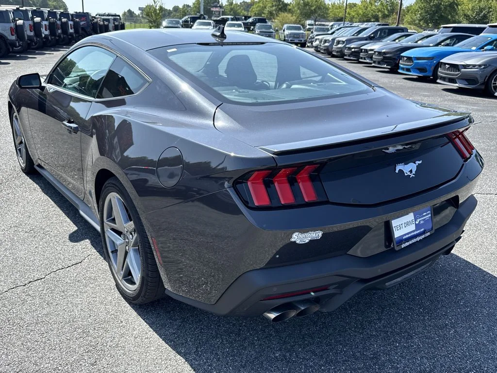 Used 2024 Gray Ford EcoBoost Premium image 5