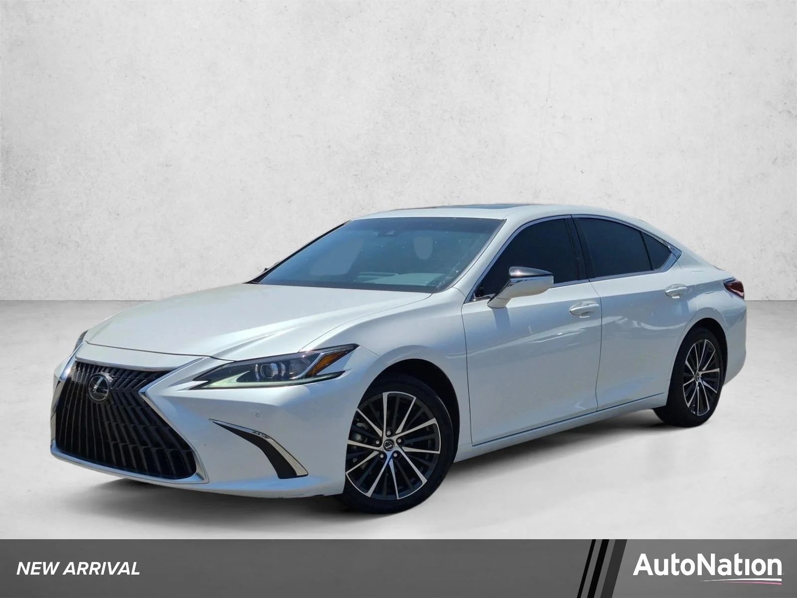 2025 Lexus ES 300h 300h's photo