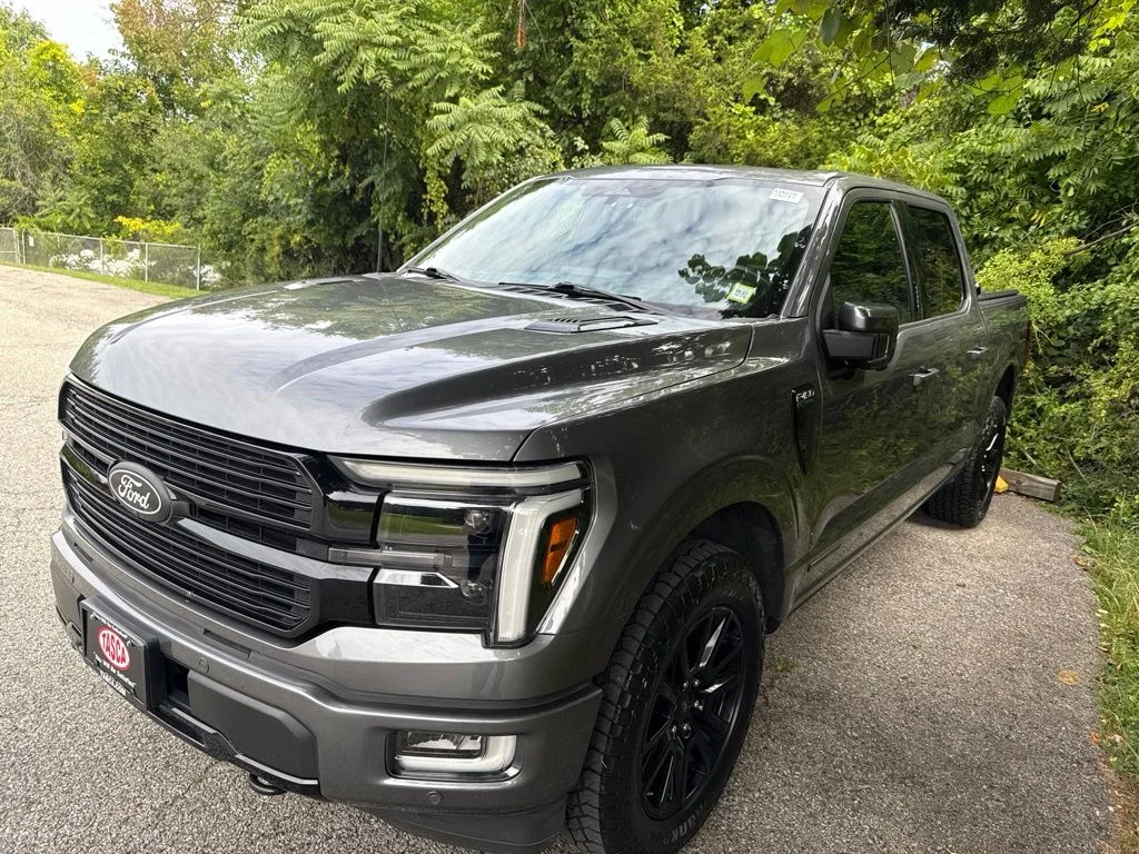 Used 2024 Gray Ford Platinum image 1