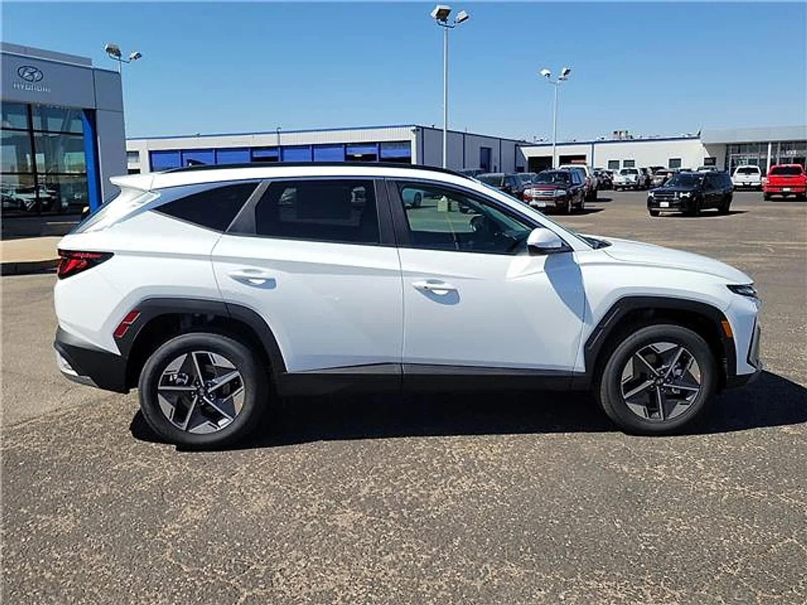 New 2026 White Hyundai SEL image 5