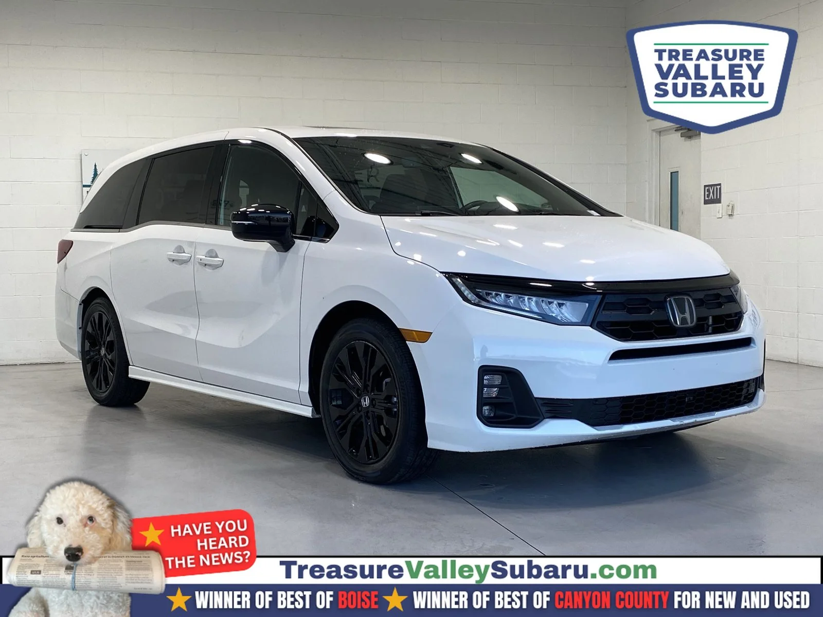 Used 2025 White Honda Sport-L image 1