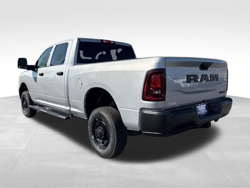 New 2026 Silver-Zynith Exterior Paint RAM Tradesman image 7