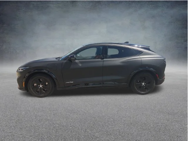 Used 2023 Blue Ford California Route 1 image 4