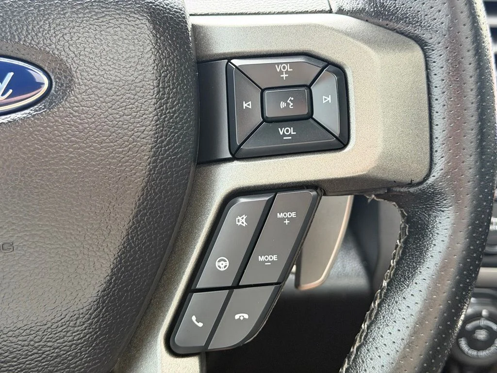 Used 2020 Gray Ford Raptor image 19
