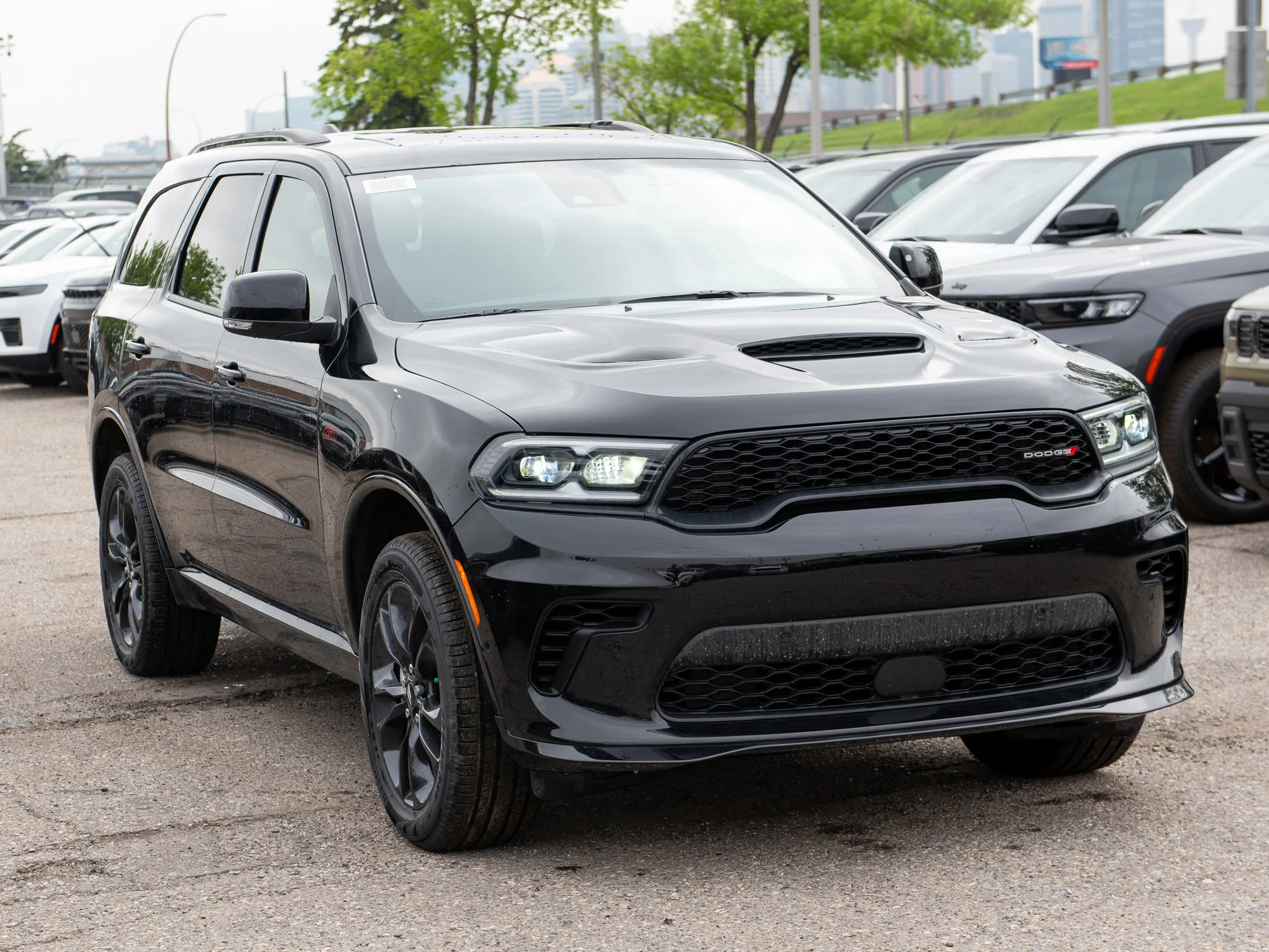 New 2026 Black Dodge GT Plus* image 6