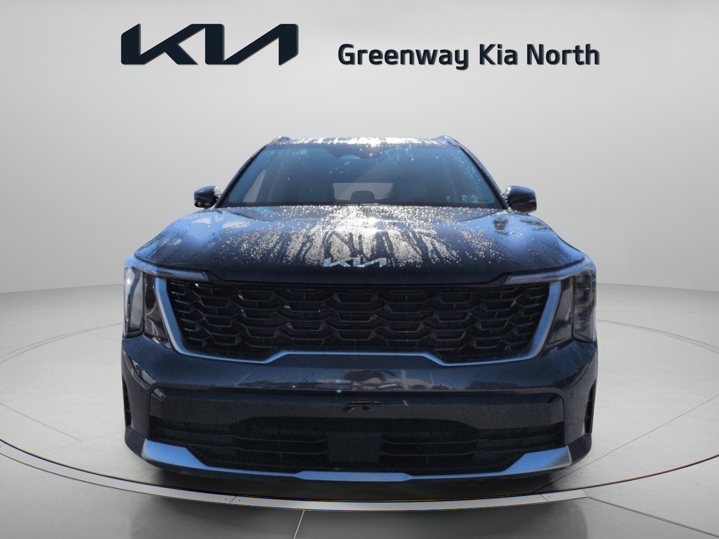 Used 2025 Panthera Metal Kia S image 3
