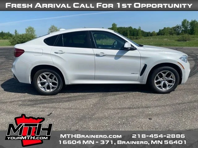 2019 BMW X6 xDrive35i's photo