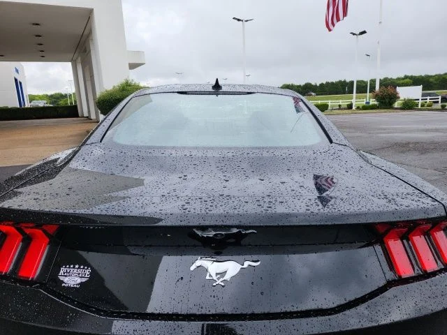 New 2026 Shadow Black Ford EcoBoost® Premium Fastback image 15