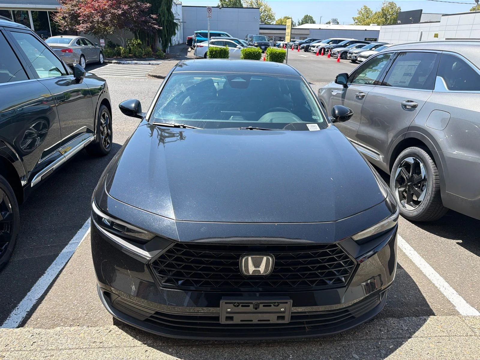 Used 2024 Crystal Black Pearl Honda Sport image 2