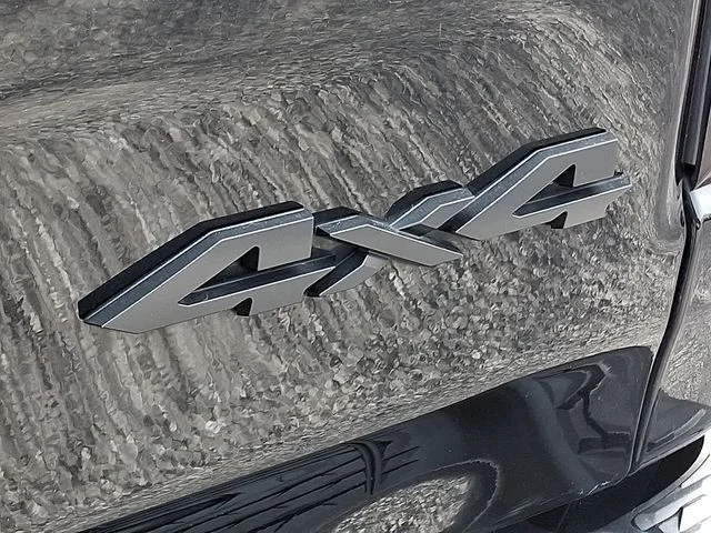 Used 2019 Black Ram Rebel image 28