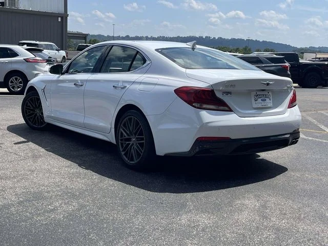 Used 2019 White Genesis 2.0T Advanced image 6
