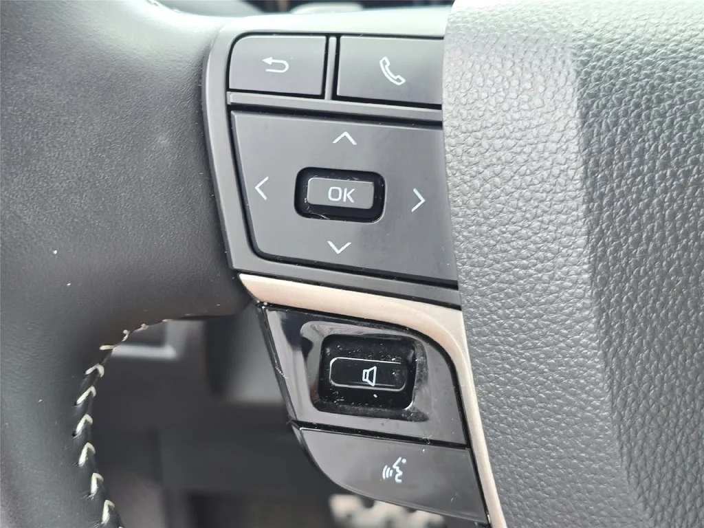 Used 2025 Heavy Metal Toyota LE image 19