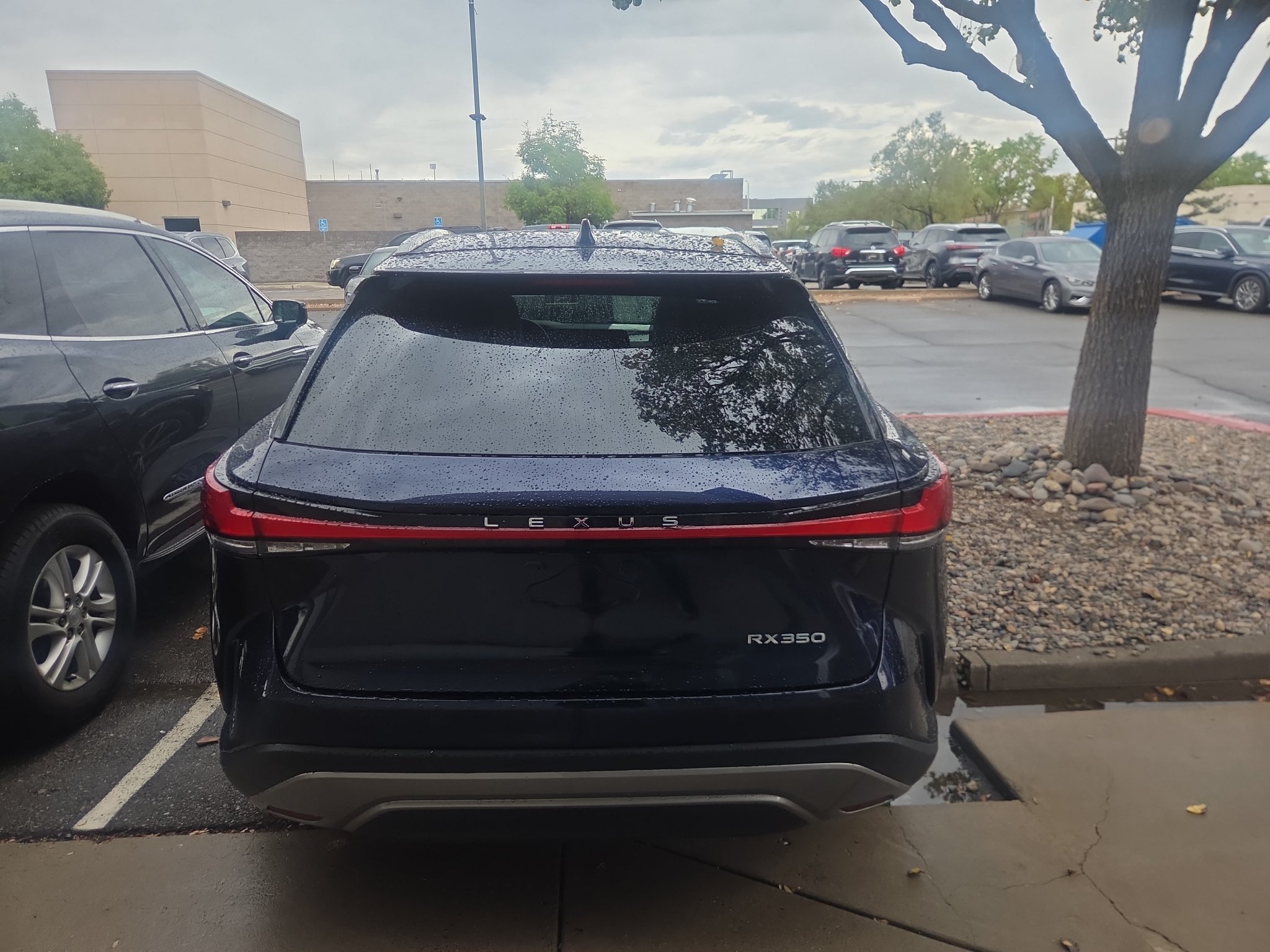 Used 2024 Nightfall Mica Lexus Base image 4