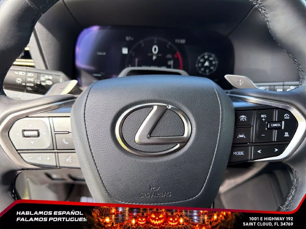 Used 2025 Gray Lexus Luxury image 17