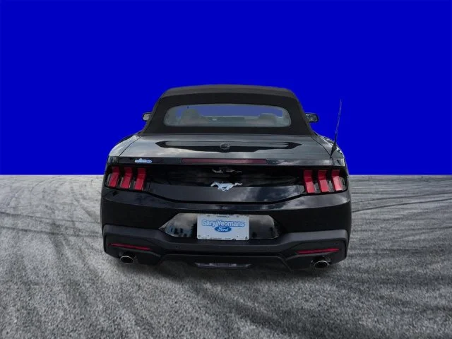 New 2026 Shadow Black Ford EcoBoost® Premium Convertible image 5