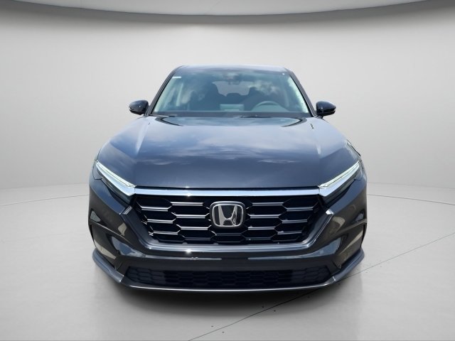 New 2026 Crystal Black Pearl Honda LX image 2