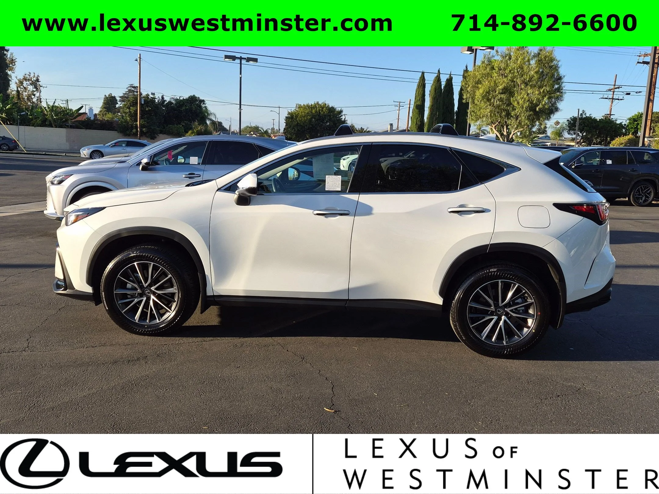 Certified Used 2026 WHITE NOVA GF. Lexus NX 350h Premium image 11