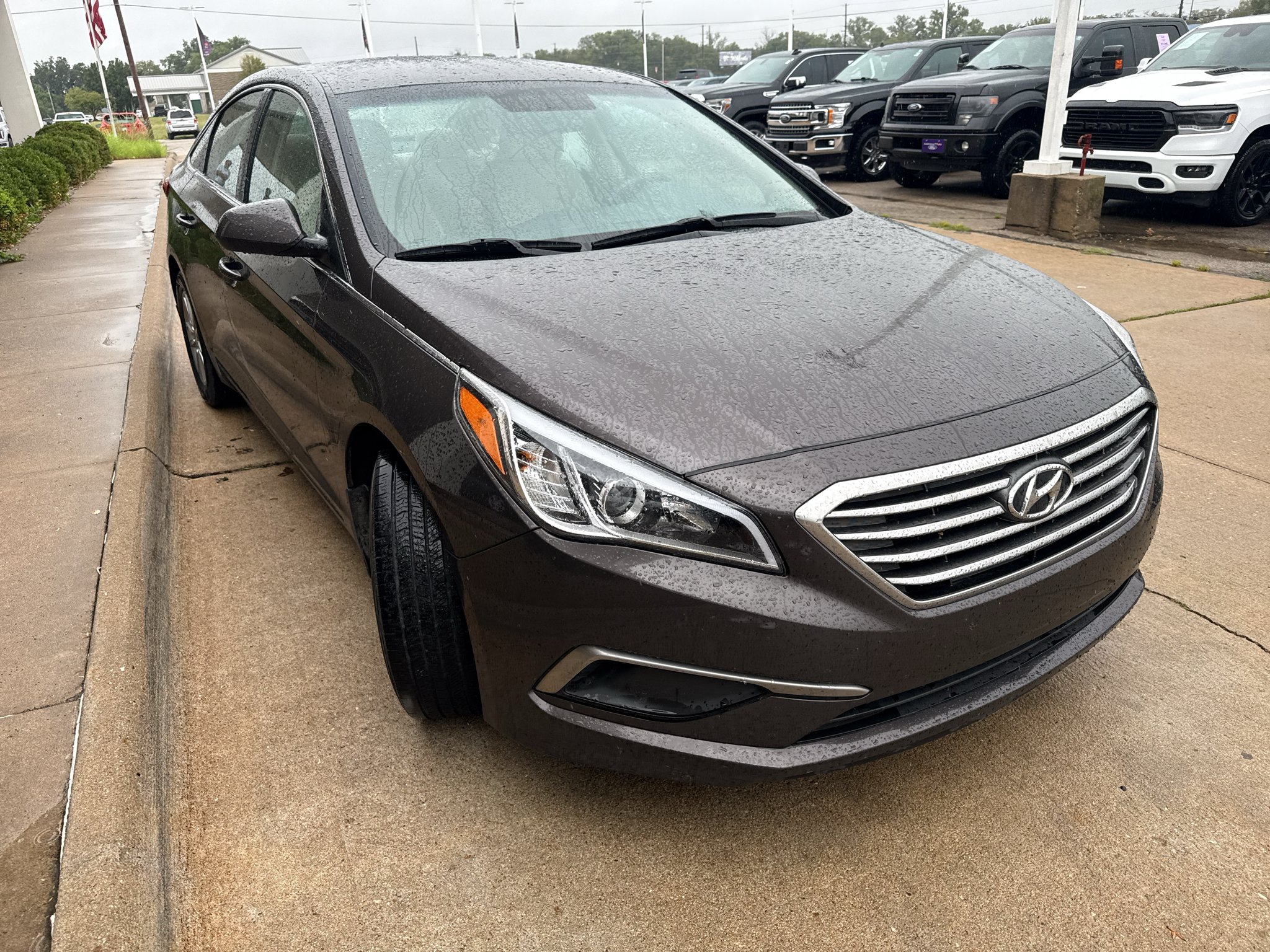Used 2016 Dark Truffle Hyundai 2.4L SE image 4