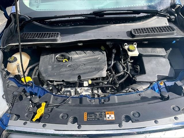 Used 2017 Blue Ford SE image 10