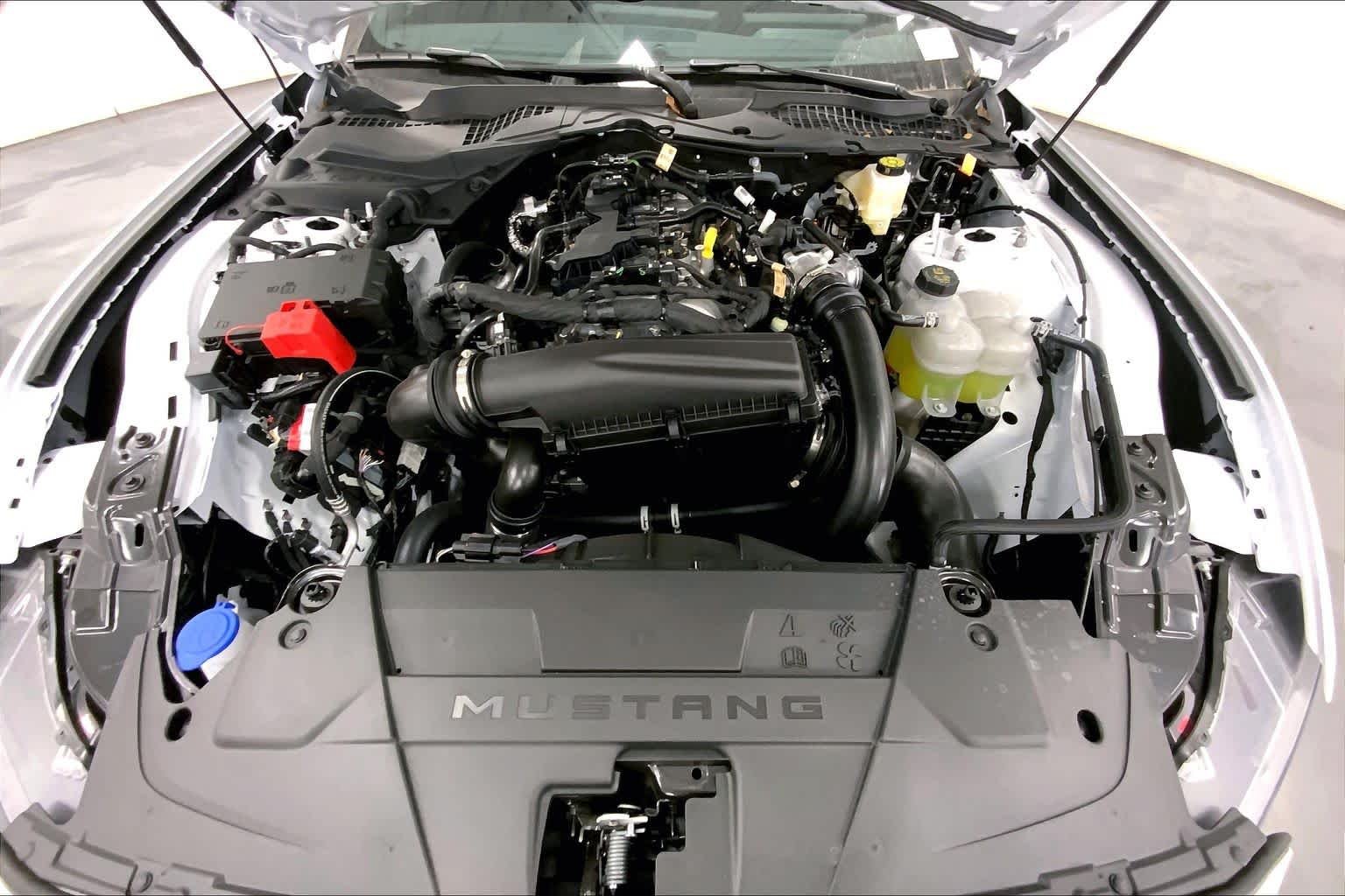 New 2026 Oxford White Ford EcoBoost® Fastback image 15