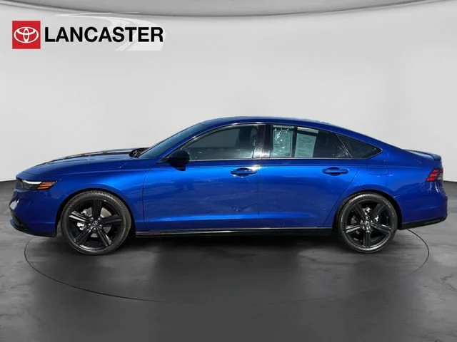 Used 2024 Blue Honda Sport-L image 4