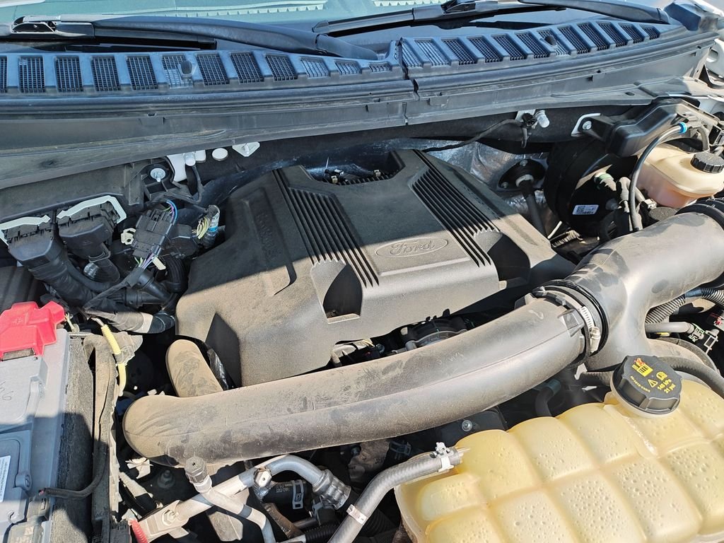 Used 2019 White Ford Platinum image 26