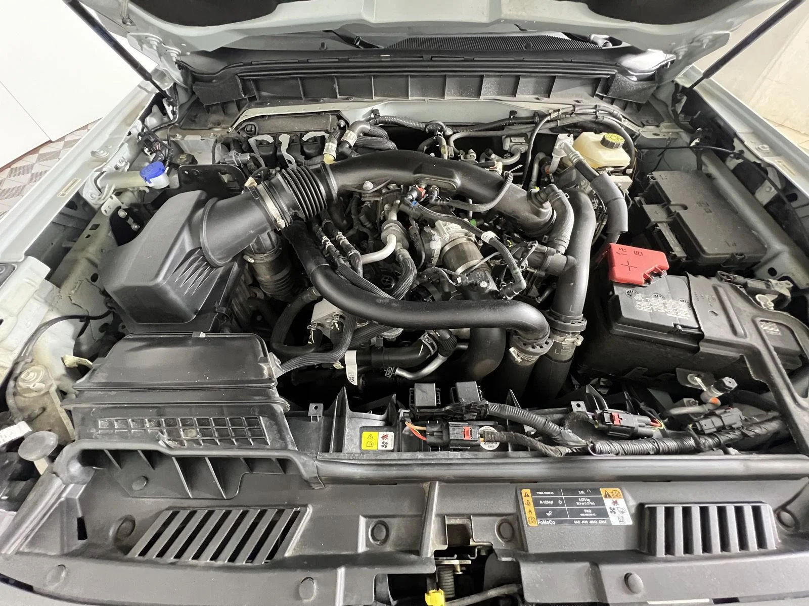 Used 2024 Cactus Gray Ford Raptor image 21