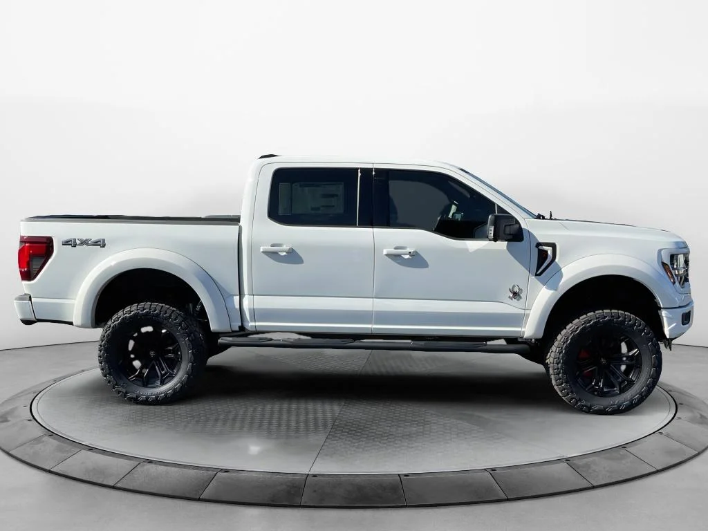2025 Ford F-150 XLT - Photo 6