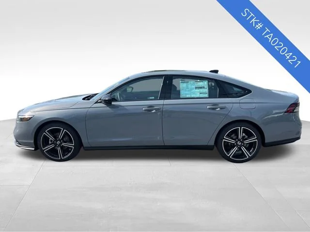 New 2026 Urban Gray Pearl Honda SE image 4