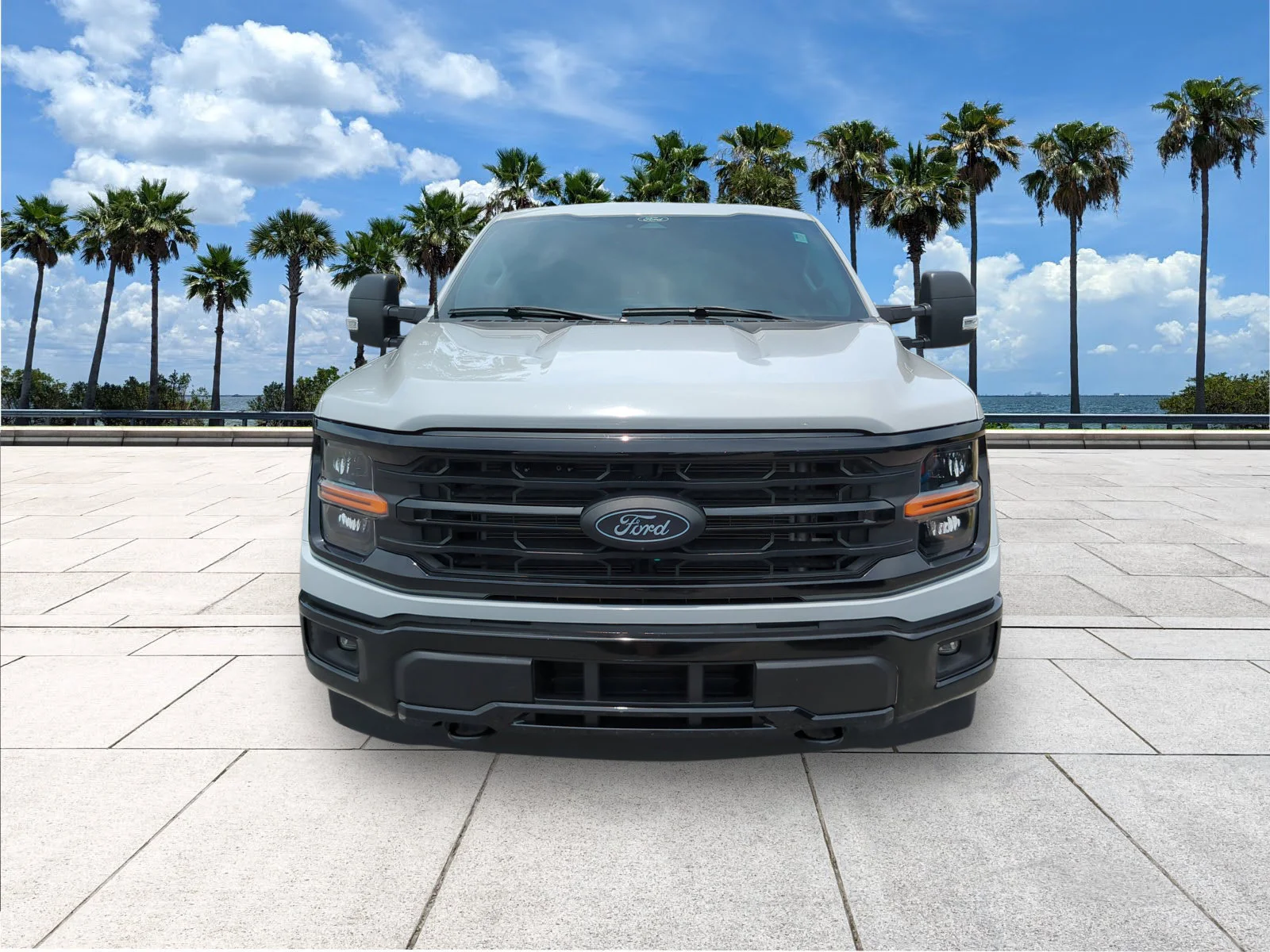 Used 2024 Avalanche Ford XLT image 2