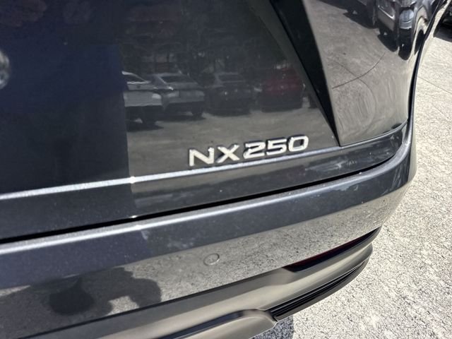 2025 Lexus NX 250 - Photo 25
