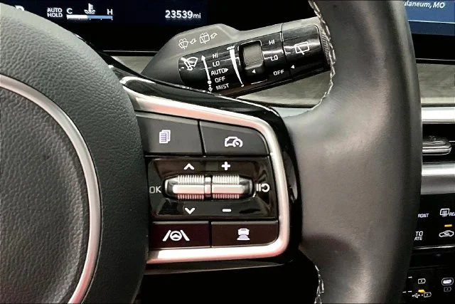 Used 2025 Panthera Metal Kia X-Line SX image 26