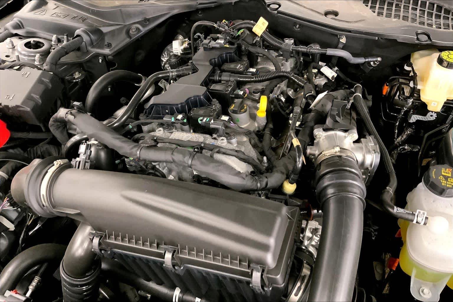 2025 Ford Mustang EcoBoost Fastback - Photo 16