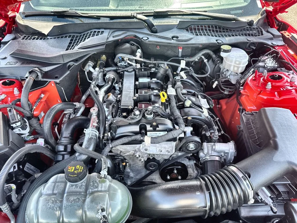 Used 2022 Red Ford EcoBoost image 23