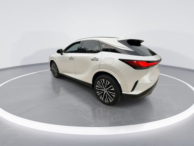 2024 Lexus RX 350 - Photo 6
