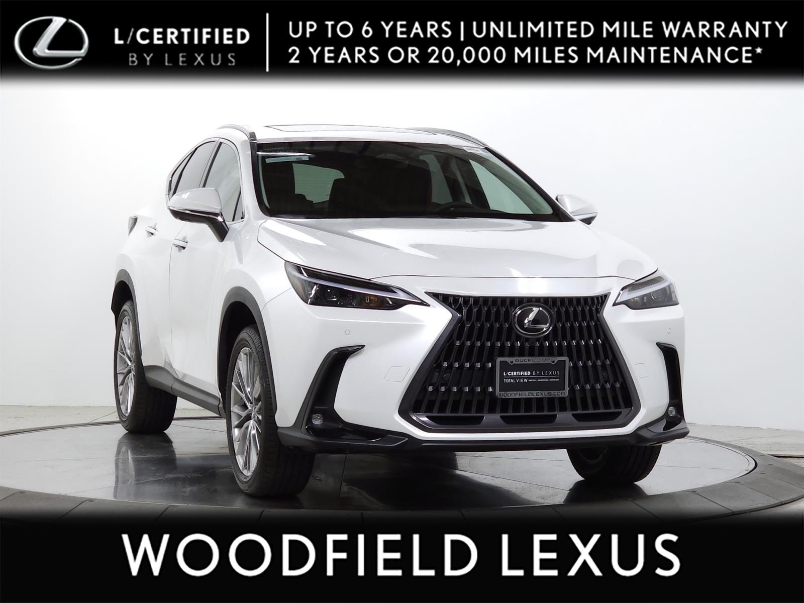 2025 Lexus NX 350's photo