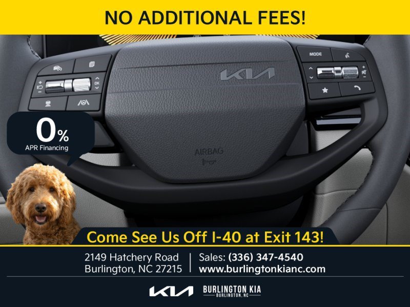 New 2026 PANTHERA METAL Kia EX image 22