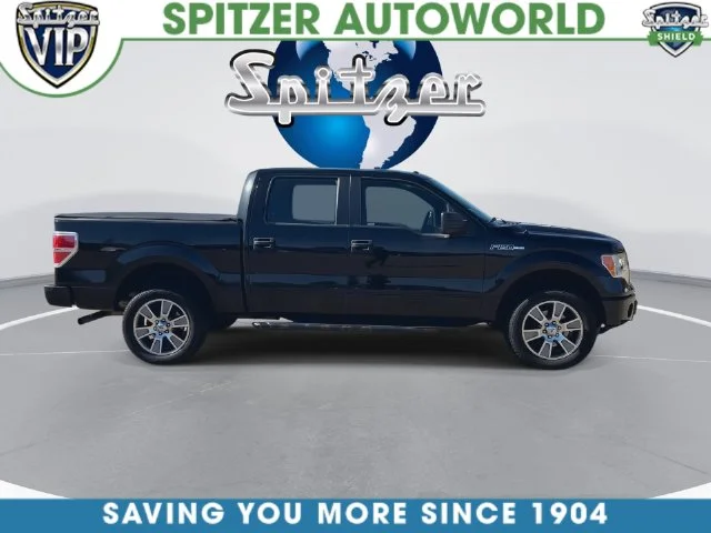 Used 2014 Black Ford STX image 11