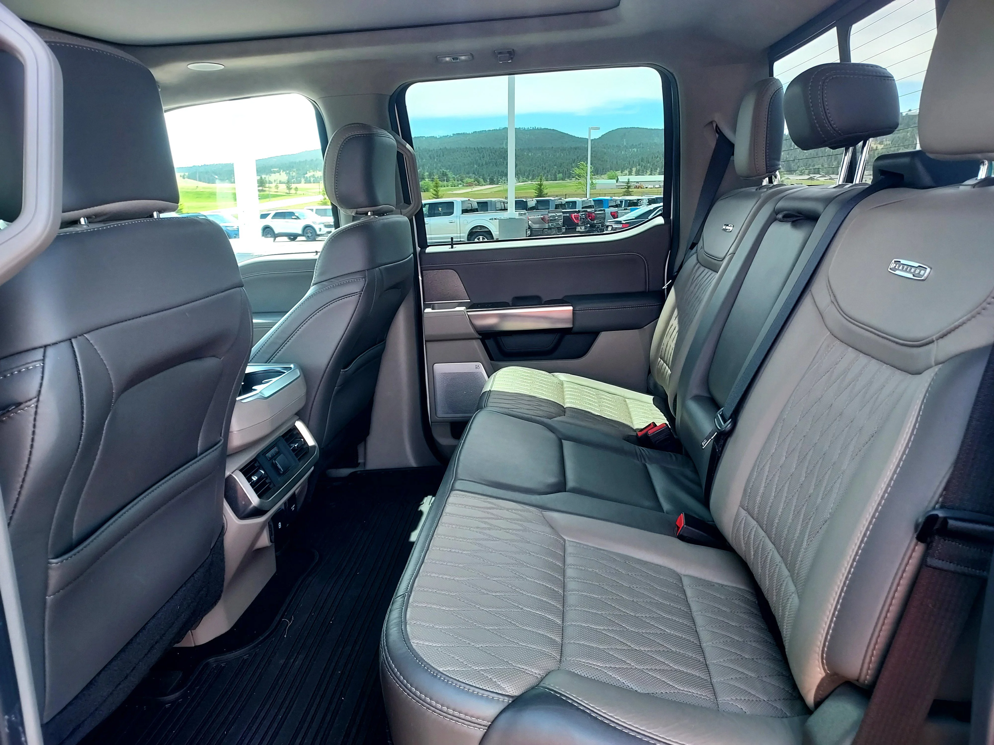 Used 2024 White Ford Platinum image 17