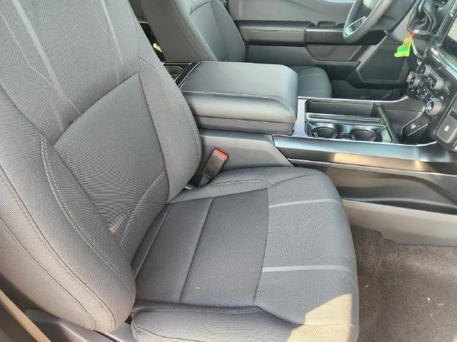 New 2026 Gray Ford STX image 13