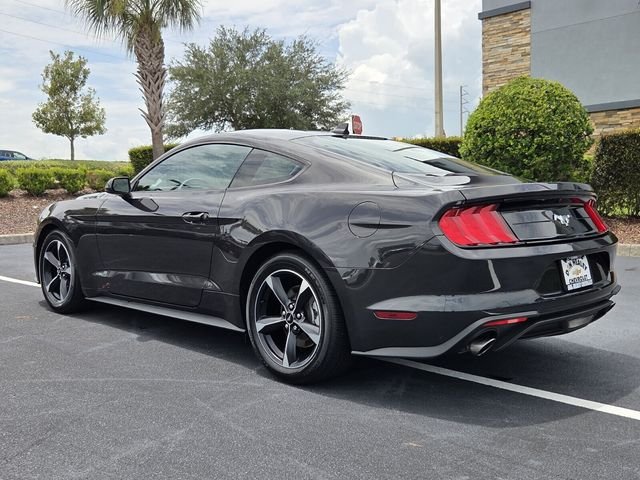 Used 2022 Gray Ford EcoBoost image 5