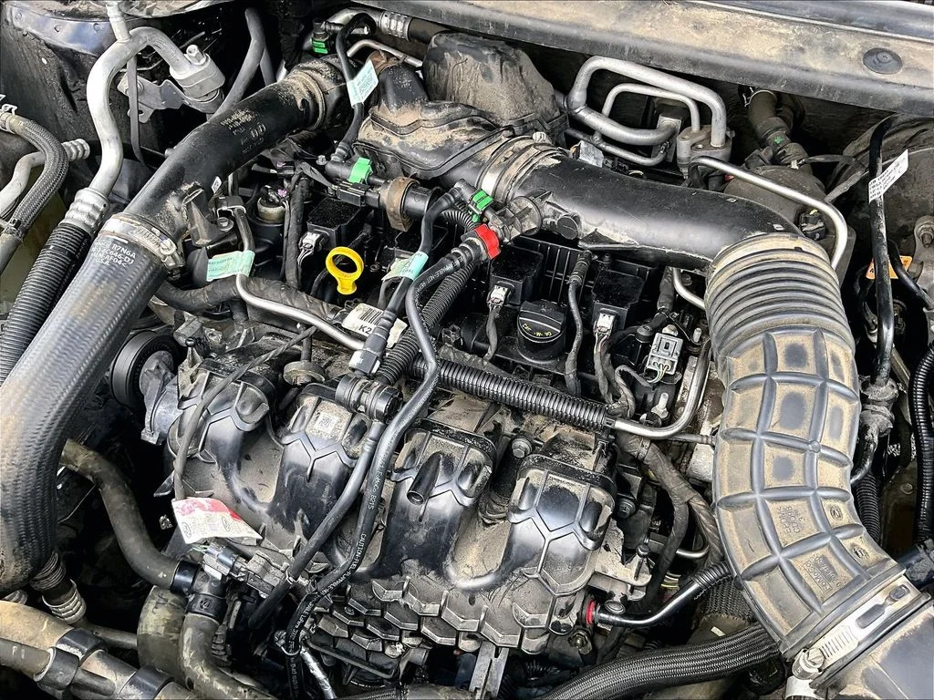 Used 2019 Black Ford XLT image 31