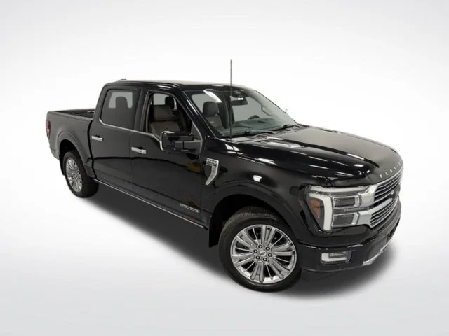 Used 2024 Black Ford Platinum image 34